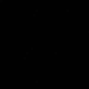 Meet your Posher, Kynlie